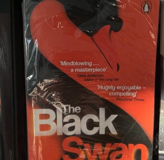 a book cover of the black swan by nassim nicholas taleb