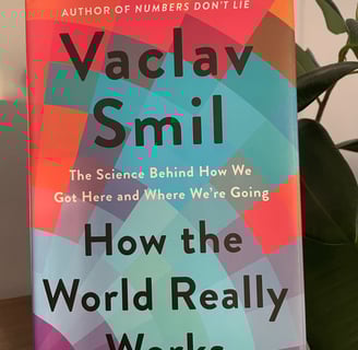 a book cover of how the world really works