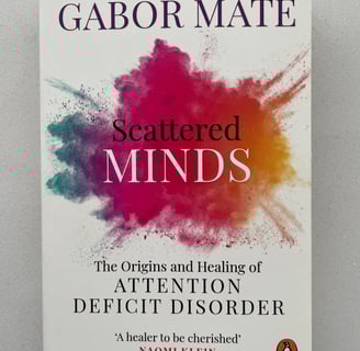 a book cover of a book titled'scattered mindfulness '