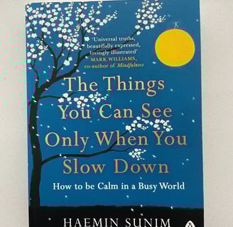 a book cover of the book the things you can see only when you slow down