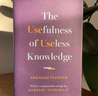a book cover of the usefulness of useless knowledge