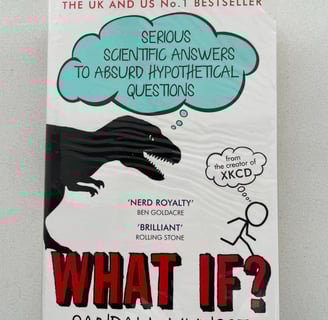 a book cover of what if? 