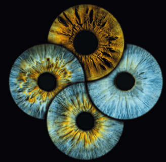 a-eye gallery