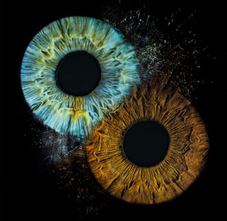 a-eye gallery