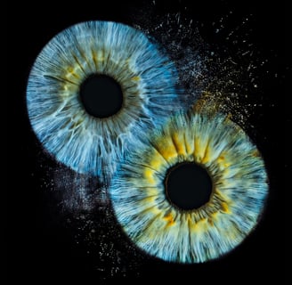 a-eye gallery