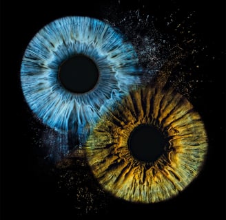 a-eye.pl