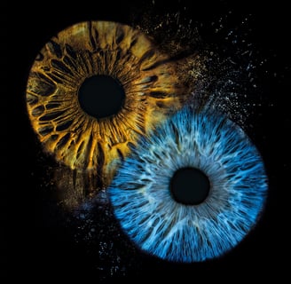 a-eye gallery