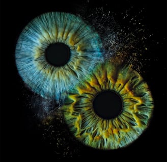 a eye gallery