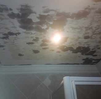 Black mould on ceiling due to extensive roof leaks