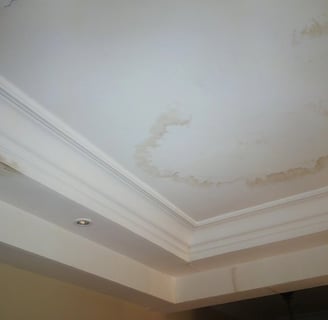 Ceiling with water stains from roof leak