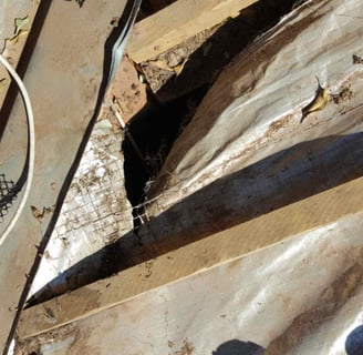 Extensive roof damage inspection, West Rand, Environmental Pro Construction