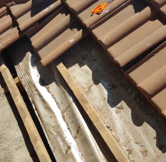 Roof inspection, West Rand