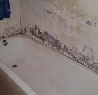 Penetrating Damp
