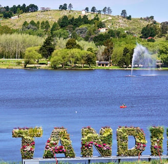 Tandil