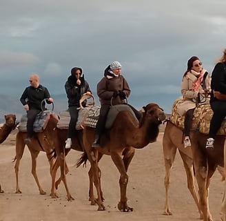 Group camel ride in the Agafay Desert near Marrakech