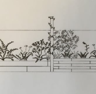 black-and-white front-view sketch of planting and raised beds in shade