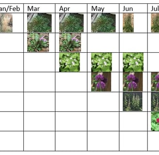 plant list showing visual impact through the year