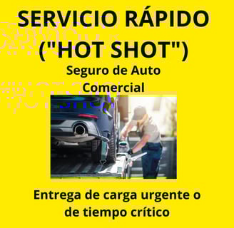seguro de Auto commercial Del Toro Insurance