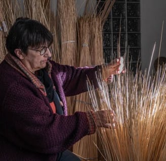 Tri de l'osier avant la confection d'un panier