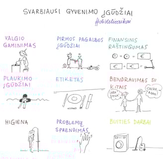 svarbiausių įgūdžių schema