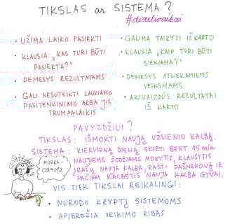 iliustracija apie sistemas ir tikslus
