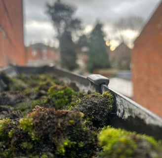 moss filled gutter