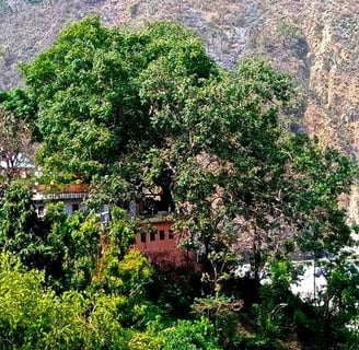 Ashram Hairakhan