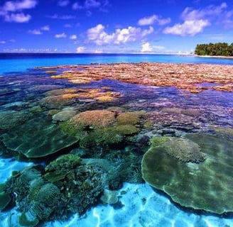 Taman Nasional Bunaken_banner