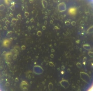 Image: perfect sphere with innumerable smaller micellar spheres growing and replicating from nano to