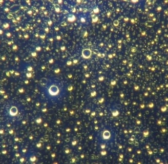 Image: higher magnification of micellar hydrogel construction, 2000x.