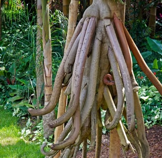 arboles que se mueven solos