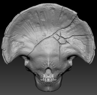 My point of view about how be the Death Skull based on Del Toro Movie
