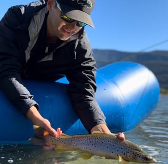 trucha marron pescada en lago puelo