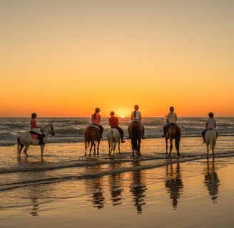 sunrise riding