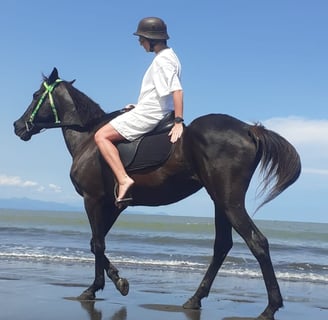 horse riding adventure