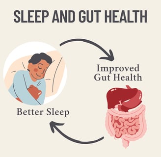 Diagram showing connection between sleep and gut health