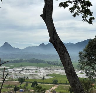 tanah kavling harga terjangkau bogor timur, kavling view gunung hanjawong, tanah kavling puncak dua bogor timur, nuansa alam