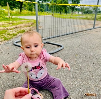 A baby girl sitting on the ground at Carrier Park after Hurricane Helene destruction and reaching out for a dandelion.