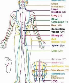 Meridians