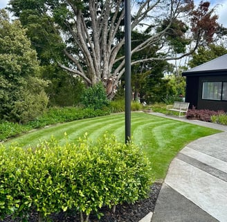a hedge with a manicured lawn in the background