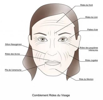 maquillage travesti zones visage