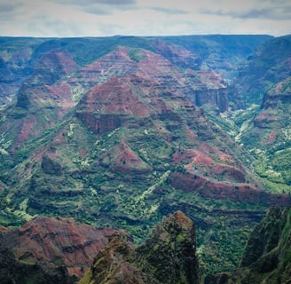 Vue sur le Waimea Canyon à Kauai