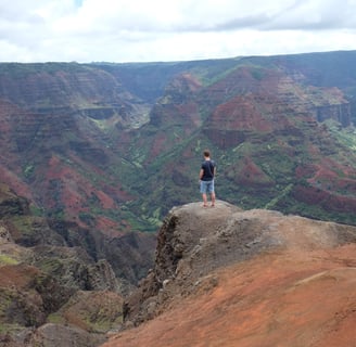 Point de vue sur le Waimea Canyon à Kauai
