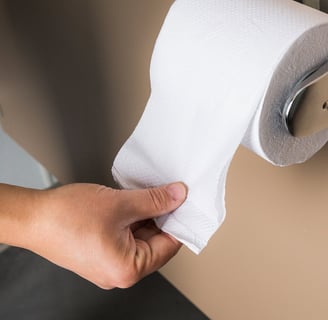 2ply Toilet paper roll