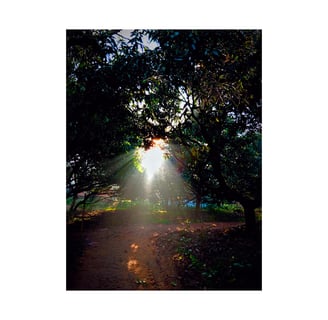 sunrising photo