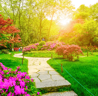 a pathway leading to a garden with flowers