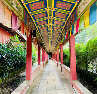 Temple Colors