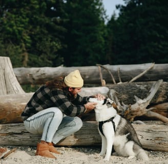 a person playing with their pet