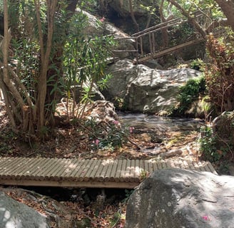 Viele Brücken in der Richtis-Schlucht