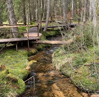 Zauberwaldpfad Bernau